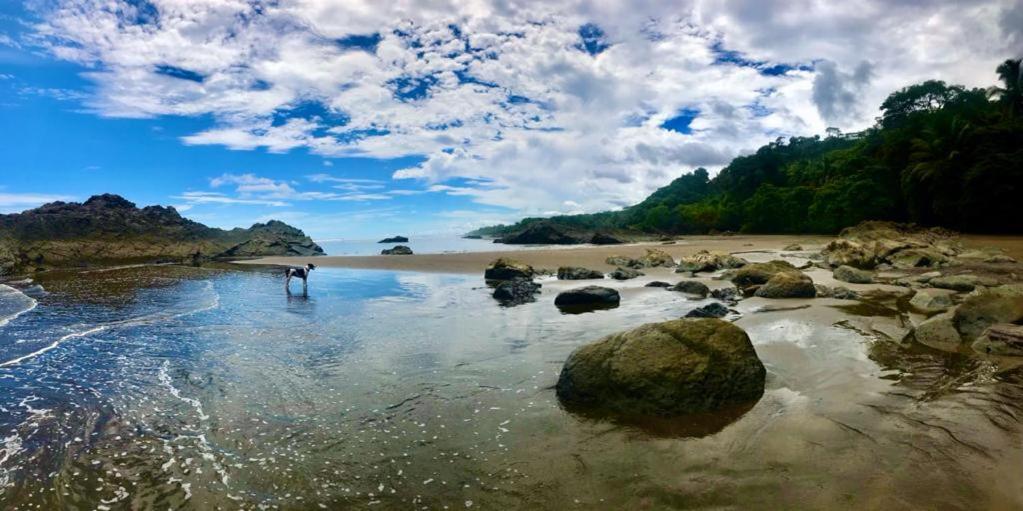 Hotel Tropical Sands Dominical Bagian luar foto